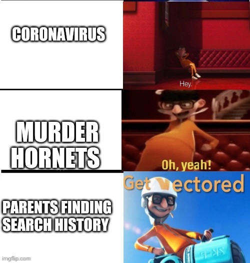'The world can't possibly get any worse' shout out to revelation for the template | CORONAVIRUS; MURDER HORNETS; PARENTS FINDING SEARCH HISTORY | image tagged in vector levels,you just got vectored,murder hornet,covid-19,history | made w/ Imgflip meme maker