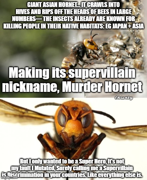 Supervillain | GIANT ASIAN HORNET... IT CRAWLS INTO HIVES AND RIPS OFF THE HEADS OF BEES IN LARGE NUMBERS— THE INSECTS ALREADY ARE KNOWN FOR KILLING PEOPLE IN THEIR NATIVE HABITATS: EG JAPAN + ASIA; Making its supervillain nickname, Murder Hornet; 𝓒𝓱𝓲𝓪𝓷𝓽𝔂; But I only wanted to be a Super Hero, It's not my fault I Mutated, Surely calling me a Supervillain is Discrimination in your countries. Like everything else is. | image tagged in discrimination | made w/ Imgflip meme maker