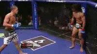image tagged in gifs,ufc | made w/ Imgflip video-to-gif maker