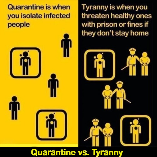 Quarantine vs.Tyranny |  Quarantine vs. Tyranny | image tagged in quarantine,tyranny,hegelian dialectic,you have tread on me,government corruption,covidiots | made w/ Imgflip meme maker