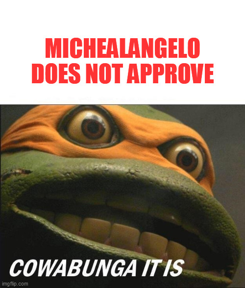 Cowabunga It Is | MICHEALANGELO DOES NOT APPROVE | image tagged in cowabunga it is | made w/ Imgflip meme maker