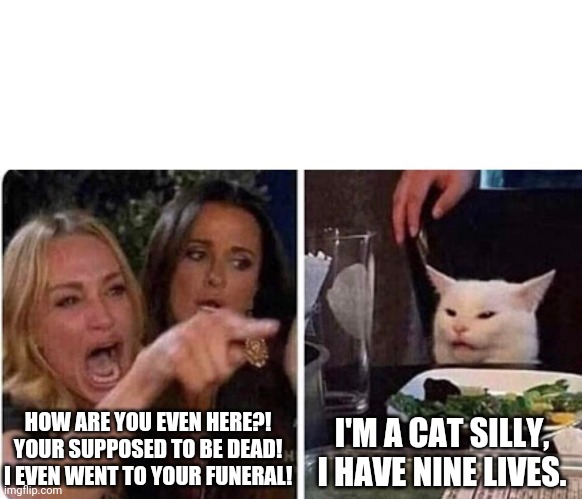 Nine Lives | HOW ARE YOU EVEN HERE?! YOUR SUPPOSED TO BE DEAD! I EVEN WENT TO YOUR FUNERAL! I'M A CAT SILLY, I HAVE NINE LIVES. | image tagged in smudge the cat | made w/ Imgflip meme maker