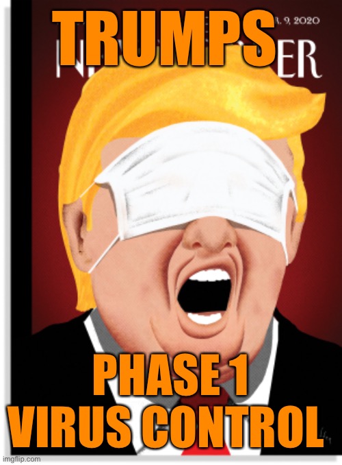 TRUMPS PHASE 1 VIRUS CONTROL | made w/ Imgflip meme maker