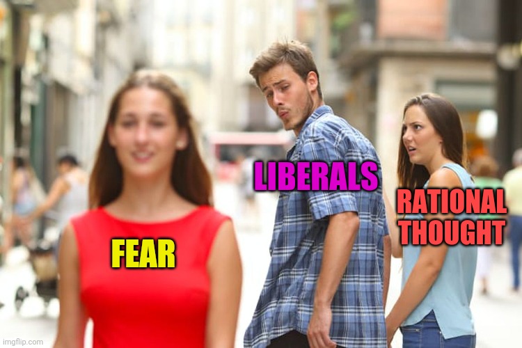 Distracted Boyfriend Meme | FEAR LIBERALS RATIONAL THOUGHT | image tagged in memes,distracted boyfriend | made w/ Imgflip meme maker