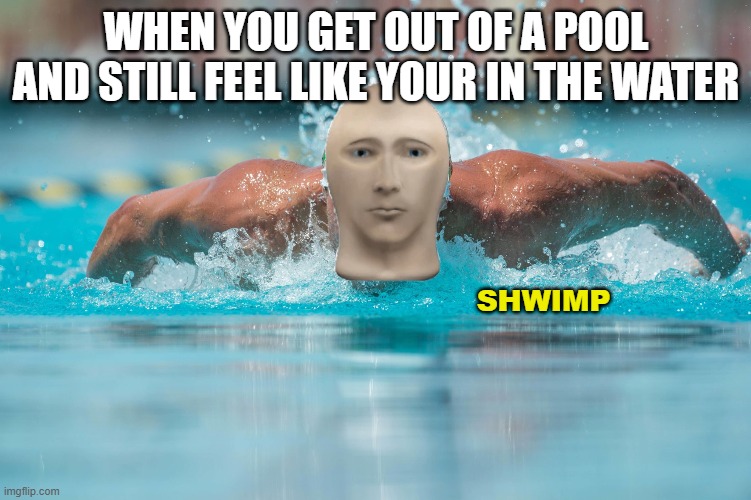 shwimp | WHEN YOU GET OUT OF A POOL AND STILL FEEL LIKE YOUR IN THE WATER; SHWIMP | made w/ Imgflip meme maker