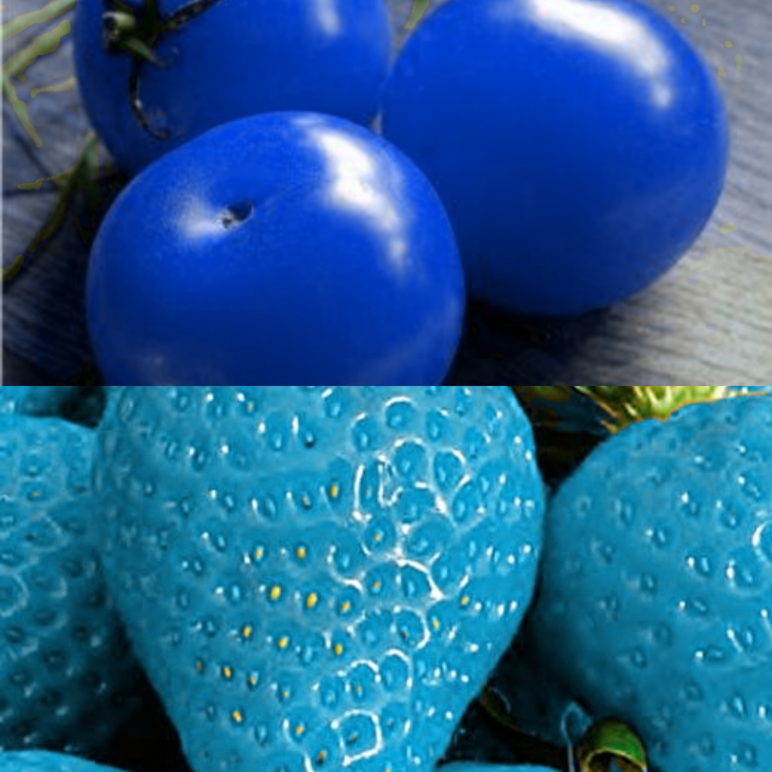 Blue Tomatoes and Strawberries Blank Meme Template