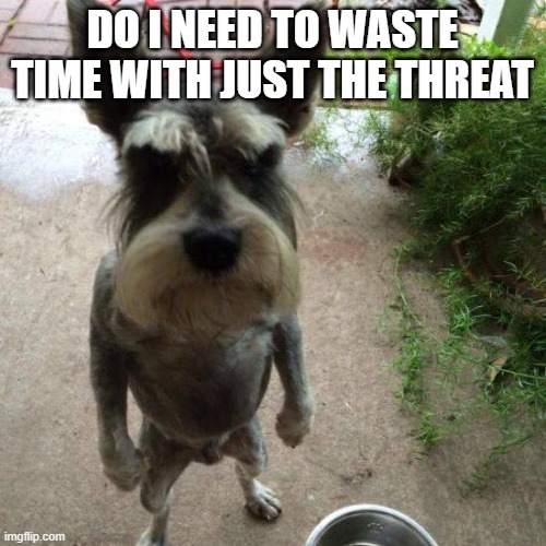 MAD DOG | DO I NEED TO WASTE TIME WITH JUST THE THREAT | image tagged in mad dog | made w/ Imgflip meme maker