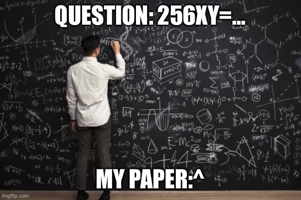 Math | QUESTION: 256XY=…; MY PAPER:^ | image tagged in math | made w/ Imgflip meme maker