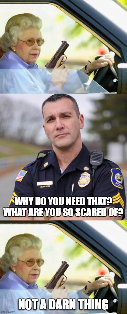 WHY DO YOU NEED THAT? WHAT ARE YOU SO SCARED OF? NOT A DARN THING | image tagged in cop,old lady with gun | made w/ Imgflip meme maker