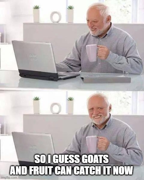 Hide the Pain Harold Meme | SO I GUESS GOATS AND FRUIT CAN CATCH IT NOW | image tagged in memes,hide the pain harold | made w/ Imgflip meme maker