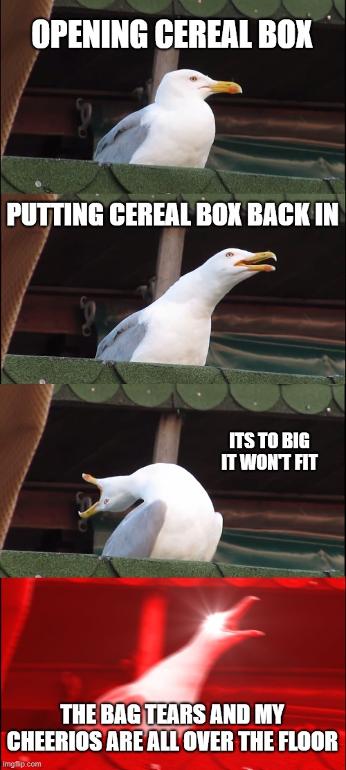 This is true | OPENING CEREAL BOX; PUTTING CEREAL BOX BACK IN; ITS TO BIG IT WON'T FIT; THE BAG TEARS AND MY CHEERIOS ARE ALL OVER THE FLOOR | image tagged in memes,inhaling seagull,funny,cereal | made w/ Imgflip meme maker