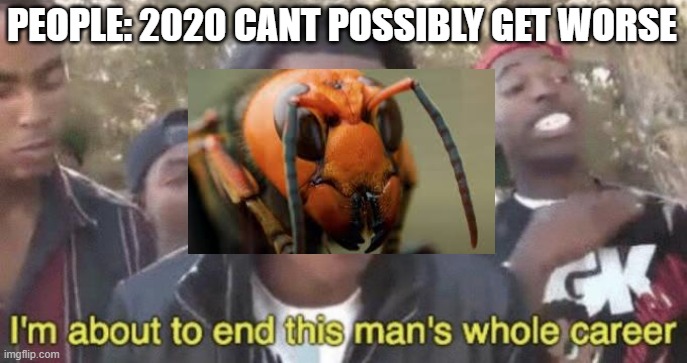 I’m about to end this man’s whole career | PEOPLE: 2020 CANT POSSIBLY GET WORSE | image tagged in im about to end this mans whole career,memes,2020,murder hornet,murder hornets | made w/ Imgflip meme maker