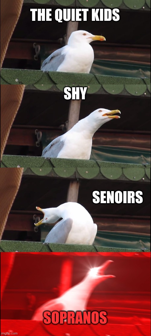 Inhaling Seagull Meme | THE QUIET KIDS; SHY; SENOIRS; SOPRANOS | image tagged in memes,inhaling seagull,choir | made w/ Imgflip meme maker
