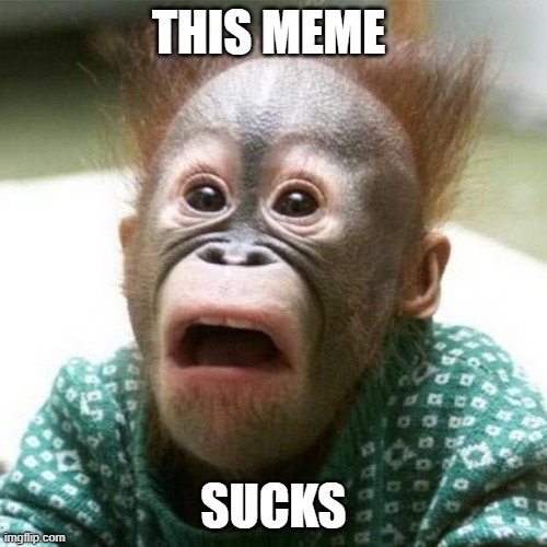 Shocked Monkey | THIS MEME; SUCKS | image tagged in shocked monkey | made w/ Imgflip meme maker
