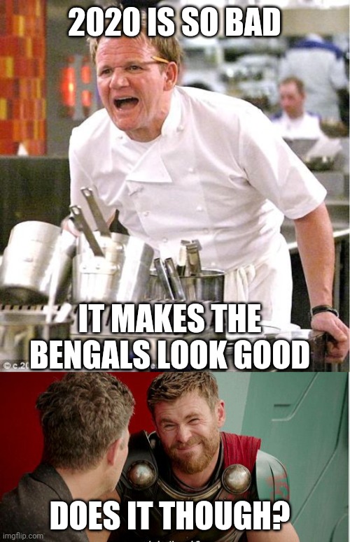 2020 IS SO BAD; IT MAKES THE BENGALS LOOK GOOD; DOES IT THOUGH? | image tagged in memes,chef gordon ramsay,thor is he though,bengals,nfl memes,2020 | made w/ Imgflip meme maker