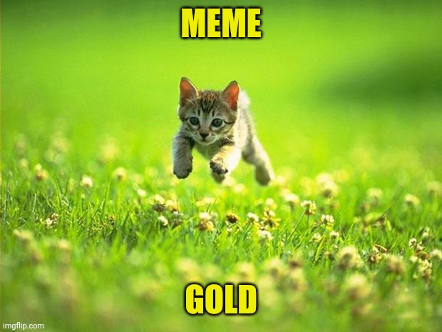 Every time I smile God Kills a Kitten | MEME GOLD | image tagged in every time i smile god kills a kitten | made w/ Imgflip meme maker