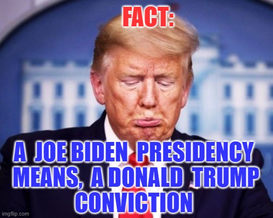 a Donald  Trump conviction | FACT:; A  JOE BIDEN  PRESIDENCY
  MEANS,  A DONALD  TRUMP 
CONVICTION | image tagged in donald trump,joe biden,election 2020 | made w/ Imgflip meme maker