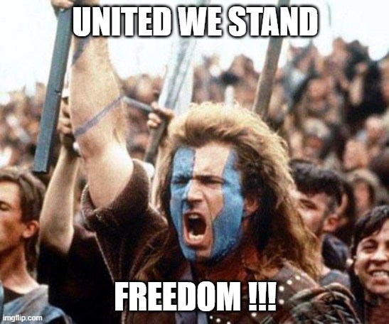 freedom | UNITED WE STAND; FREEDOM !!! | image tagged in braveheart freedom | made w/ Imgflip meme maker