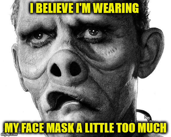 When the COVID-19 is over | I BELIEVE I'M WEARING; MY FACE MASK A LITTLE TOO MUCH | image tagged in covid-19,face mask | made w/ Imgflip meme maker