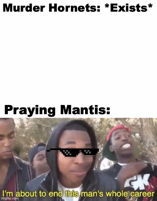 It do be like that | Murder Hornets: *Exists*; Praying Mantis: | image tagged in murder hornets,praying mantis | made w/ Imgflip meme maker