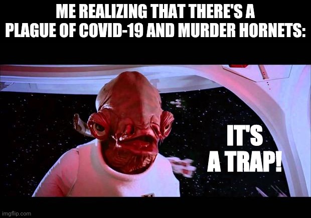 It's a trap  | ME REALIZING THAT THERE'S A PLAGUE OF COVID-19 AND MURDER HORNETS: IT'S A TRAP! | image tagged in it's a trap | made w/ Imgflip meme maker