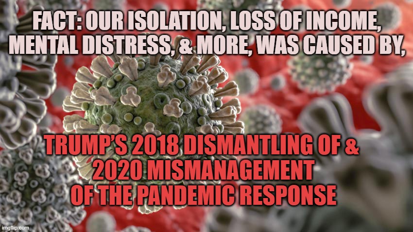 Trump caused this | FACT: OUR ISOLATION, LOSS OF INCOME, MENTAL DISTRESS, & MORE, WAS CAUSED BY, TRUMP’S 2018 DISMANTLING OF & 
2020 MISMANAGEMENT OF THE PANDEMIC RESPONSE | image tagged in donald trump,pandemic,covid-19 | made w/ Imgflip meme maker