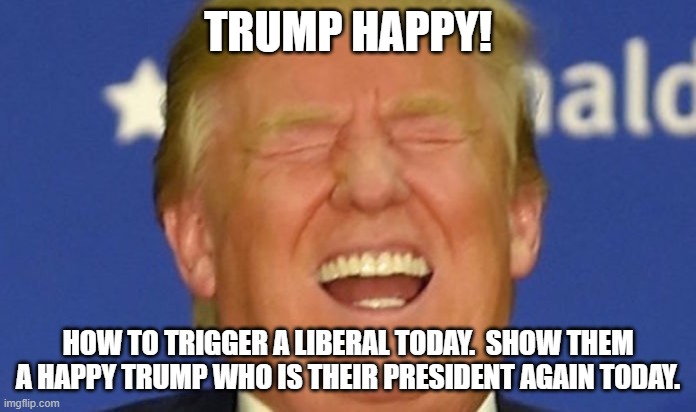 Trump is YOUR President if you are American!  Not your president not your country. | TRUMP HAPPY! HOW TO TRIGGER A LIBERAL TODAY.  SHOW THEM A HAPPY TRUMP WHO IS THEIR PRESIDENT AGAIN TODAY. | image tagged in trump laughing | made w/ Imgflip meme maker