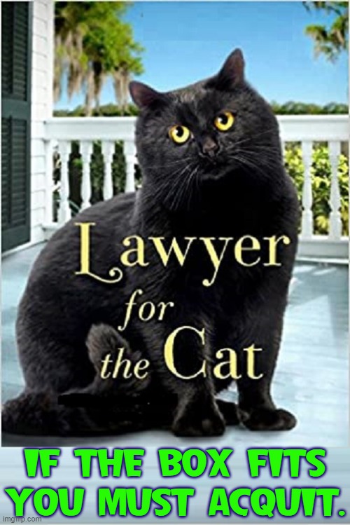 Cat Claims Squatter's Rights when a Box is Discarded | IF THE BOX FITS
YOU MUST ACQUIT. | image tagged in vince vance,cats,black cat,lawyer,funny cat memes,oj simpson | made w/ Imgflip meme maker