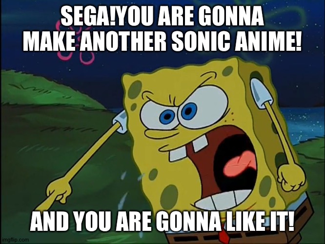 YOU ARE GONNA LIKE IT! | SEGA!YOU ARE GONNA MAKE ANOTHER SONIC ANIME! AND YOU ARE GONNA LIKE IT! | image tagged in you are gonna like it | made w/ Imgflip meme maker