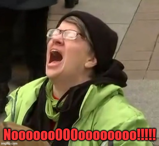 snowflake | Noooooo000oooooooo!!!!! | image tagged in snowflake | made w/ Imgflip meme maker