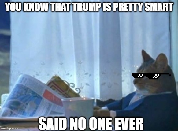 cat burns | YOU KNOW THAT TRUMP IS PRETTY SMART; SAID NO ONE EVER | image tagged in memes,i should buy a boat cat,trump,burn | made w/ Imgflip meme maker