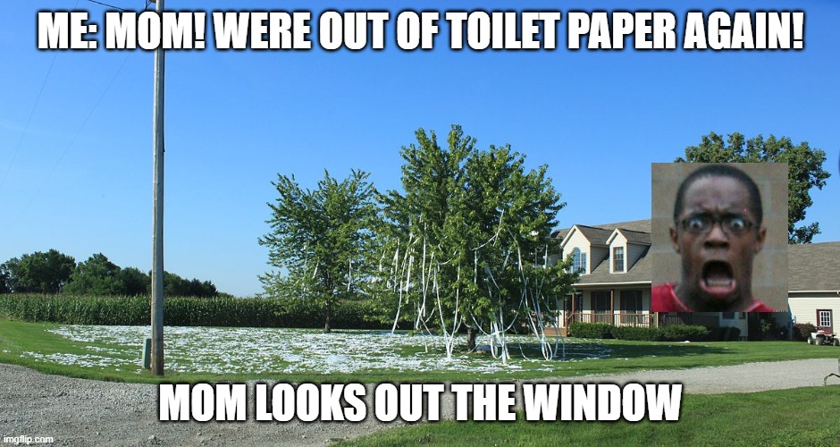 coronavirus meme | ME: MOM! WERE OUT OF TOILET PAPER AGAIN! MOM LOOKS OUT THE WINDOW | image tagged in coronavirus,toilet paper,memes,funny memes,best memes,best meme | made w/ Imgflip meme maker
