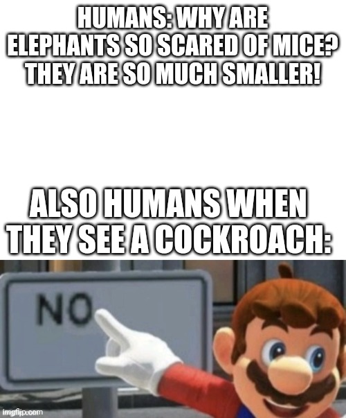 HUMANS: WHY ARE ELEPHANTS SO SCARED OF MICE? THEY ARE SO MUCH SMALLER! ALSO HUMANS WHEN THEY SEE A COCKROACH: | image tagged in blank white template,mario no sign | made w/ Imgflip meme maker