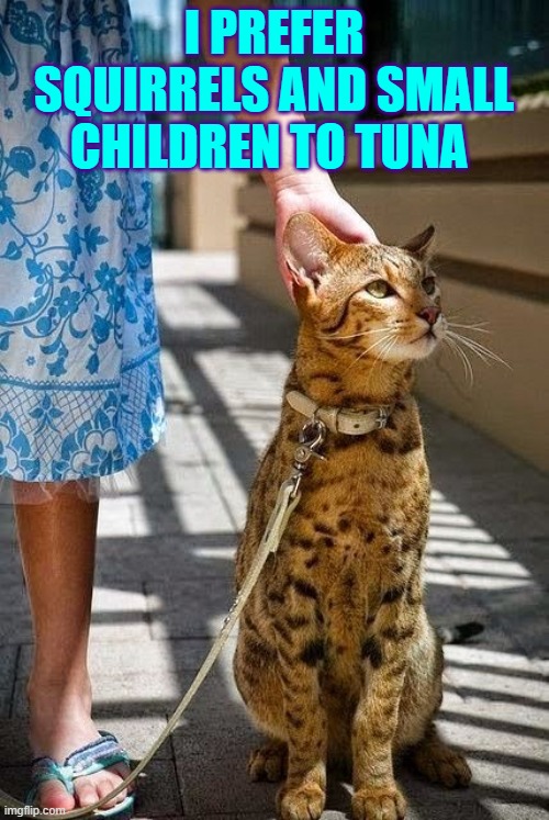 Certain Felines May be Felonious as Pets | I PREFER SQUIRRELS AND SMALL CHILDREN TO TUNA | image tagged in vince vance,cats,leopard,cheetah,jaguar,funny cat memes | made w/ Imgflip meme maker