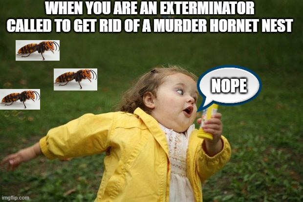 Running exterminator | WHEN YOU ARE AN EXTERMINATOR CALLED TO GET RID OF A MURDER HORNET NEST; NOPE | image tagged in girl running | made w/ Imgflip meme maker
