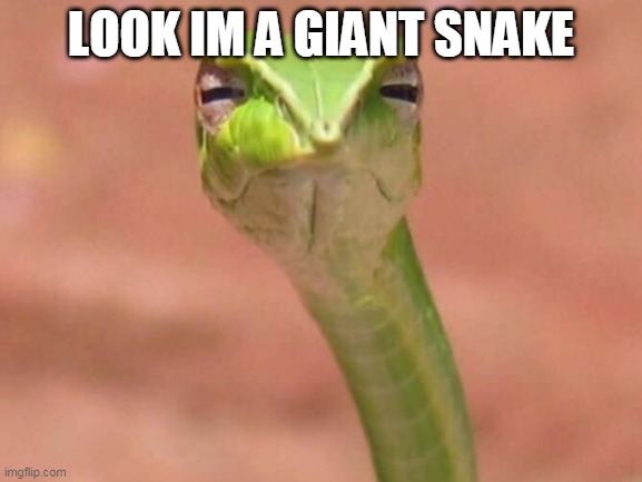 serpent | LOOK IM A GIANT SNAKE | image tagged in snake,memes | made w/ Imgflip meme maker