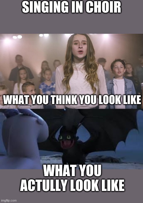 singing in choir | SINGING IN CHOIR; WHAT YOU THINK YOU LOOK LIKE; WHAT YOU ACTULLY LOOK LIKE | image tagged in funny,choir,toothless | made w/ Imgflip meme maker