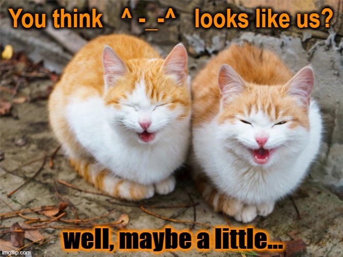From Your Cat's Own Mouth... | You think   ^ -_-^   looks like us? well, maybe a little... | image tagged in vince vance,squinty,eye,cats,icons,emoticons | made w/ Imgflip meme maker