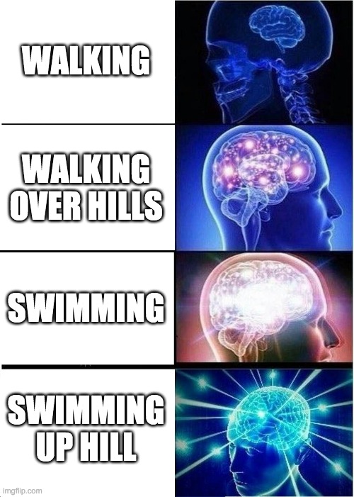 Expanding Brain | WALKING; WALKING OVER HILLS; SWIMMING; SWIMMING UP HILL | image tagged in memes,expanding brain | made w/ Imgflip meme maker