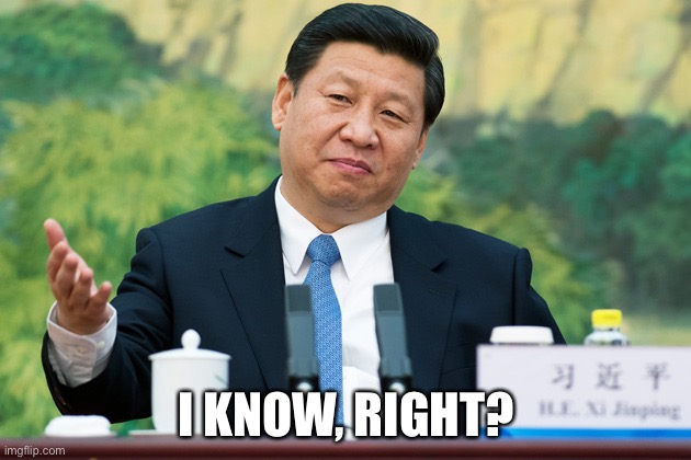 Xi Jinping | I KNOW, RIGHT? | image tagged in xi jinping | made w/ Imgflip meme maker