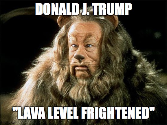 Donald J. Trump: "Lava Level Frightened" | DONALD J. TRUMP; "LAVA LEVEL FRIGHTENED" | image tagged in cowardly lion | made w/ Imgflip meme maker