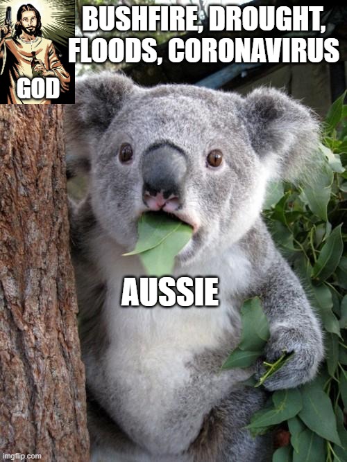 Aussie | BUSHFIRE, DROUGHT, FLOODS, CORONAVIRUS; GOD; AUSSIE | image tagged in memes,surprised koala | made w/ Imgflip meme maker