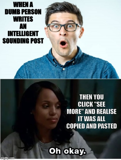 Copied and Pasted | WHEN A DUMB PERSON WRITES AN INTELLIGENT SOUNDING POST; THEN YOU CLICK "SEE MORE" AND REALISE IT WAS ALL COPIED AND PASTED | image tagged in facebook,posts | made w/ Imgflip meme maker