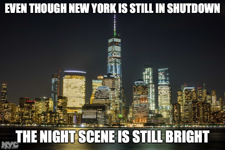 Night Scene During the Shutdown | EVEN THOUGH NEW YORK IS STILL IN SHUTDOWN; THE NIGHT SCENE IS STILL BRIGHT | image tagged in shutdown,covid-19,memes,new york city | made w/ Imgflip meme maker