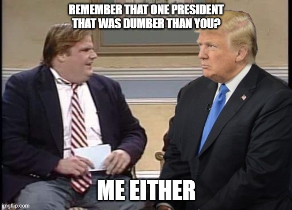 Dumber than you? | REMEMBER THAT ONE PRESIDENT THAT WAS DUMBER THAN YOU? ME EITHER | image tagged in chris farley and trump | made w/ Imgflip meme maker