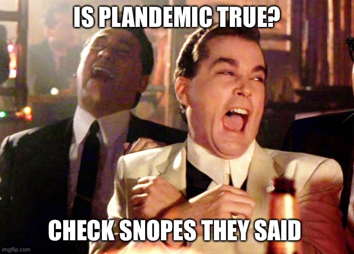 Plandemic | IS PLANDEMIC TRUE? CHECK SNOPES THEY SAID | image tagged in memes,good fellas hilarious | made w/ Imgflip meme maker
