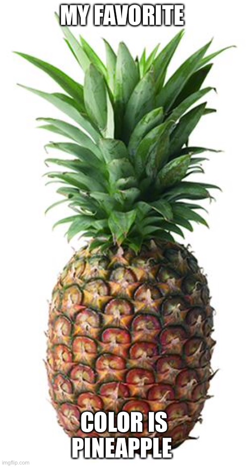 pineapple | MY FAVORITE COLOR IS PINEAPPLE | image tagged in pineapple | made w/ Imgflip meme maker