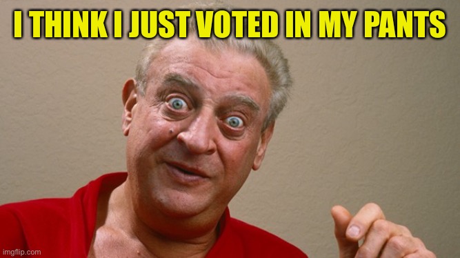 Rodney Dangerfield | I THINK I JUST VOTED IN MY PANTS | image tagged in rodney dangerfield | made w/ Imgflip meme maker