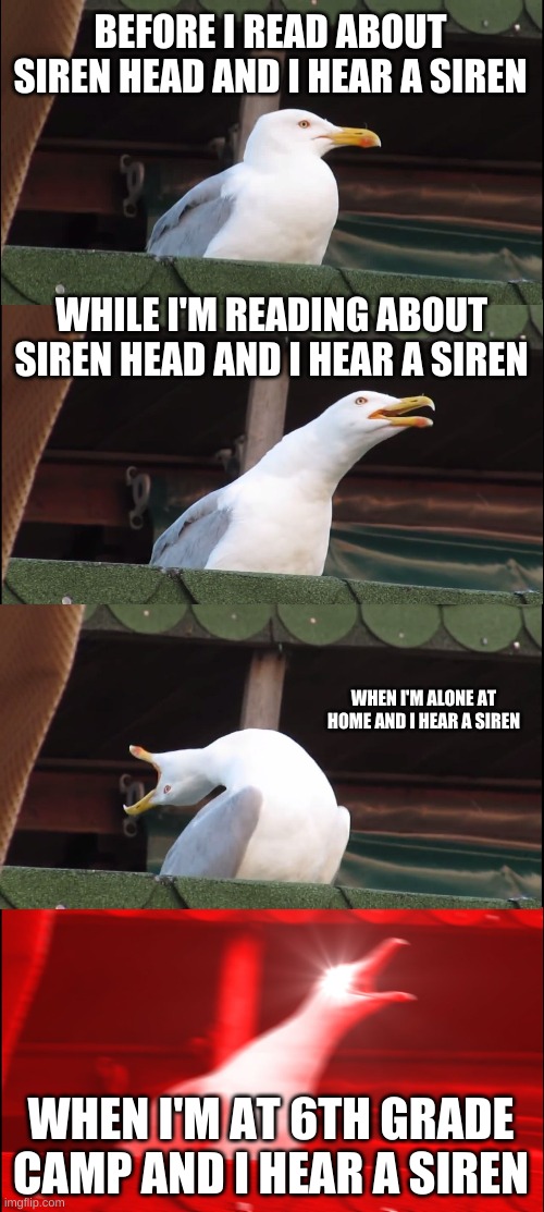 Inhaling Seagull | BEFORE I READ ABOUT SIREN HEAD AND I HEAR A SIREN; WHILE I'M READING ABOUT SIREN HEAD AND I HEAR A SIREN; WHEN I'M ALONE AT HOME AND I HEAR A SIREN; WHEN I'M AT 6TH GRADE CAMP AND I HEAR A SIREN | image tagged in memes,inhaling seagull | made w/ Imgflip meme maker