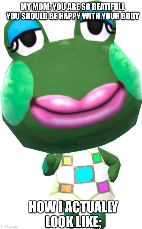 Animal crossing jambette | MY MOM: YOU ARE SO BEATIFULL YOU SHOULD BE HAPPY WITH YOUR BODY; HOW I ACTUALLY LOOK LIKE; | image tagged in animal crossing jambette,relatable,so true meme,funny,ugly,funny memes | made w/ Imgflip meme maker